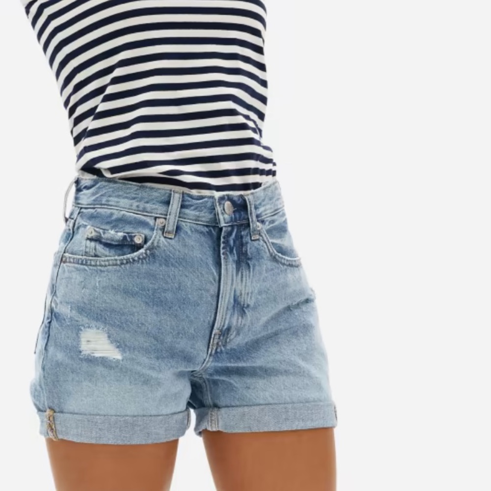 Everlane The Denim Short Distressed Shorts